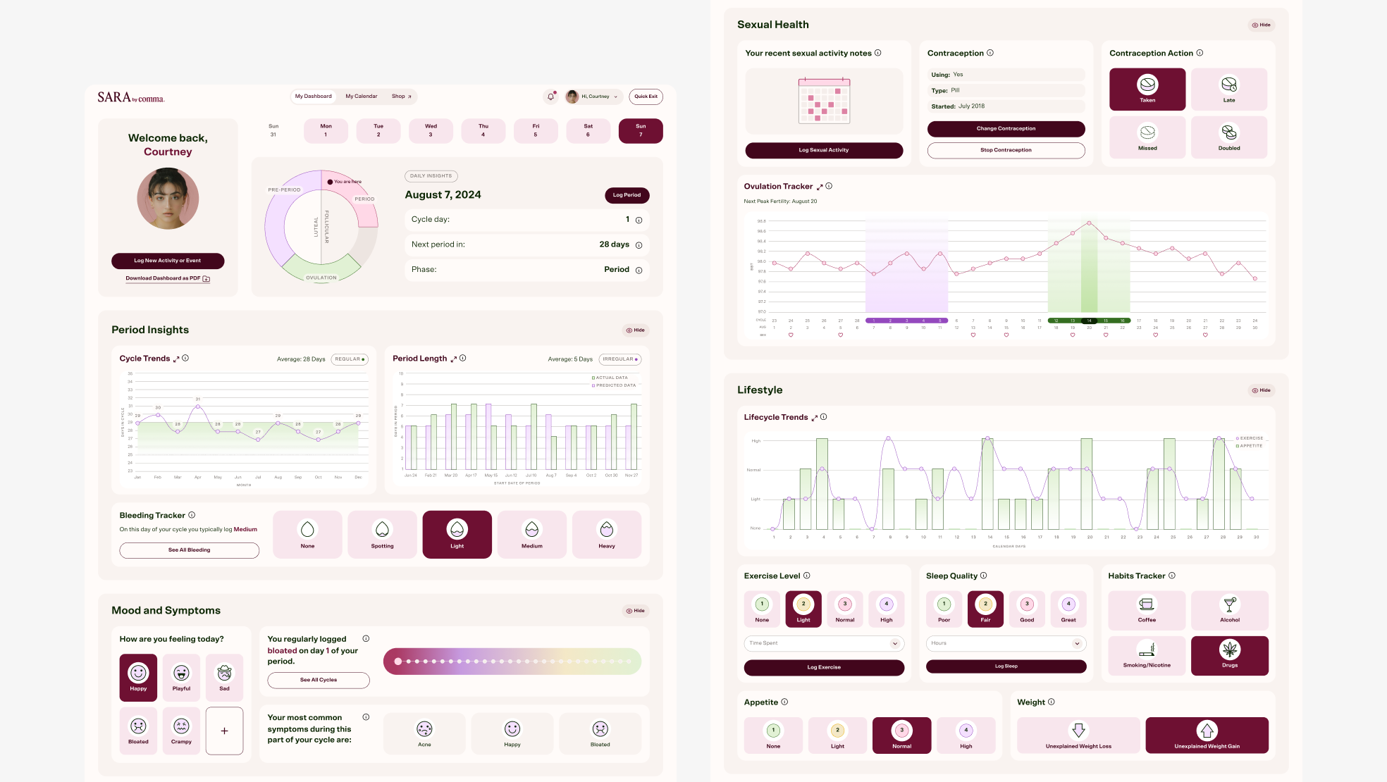 Main desktop dashboard view.